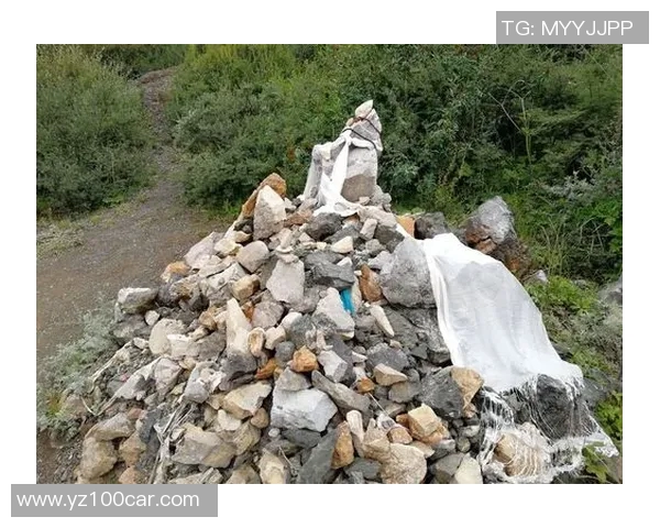 萨林杰的文学魅力与人生哲学探讨：从孤独到自我救赎的心灵旅程