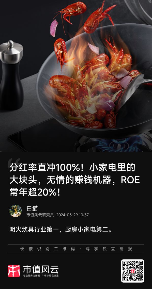 新春看消费之家电篇：只属于白电的狂欢(图39)
