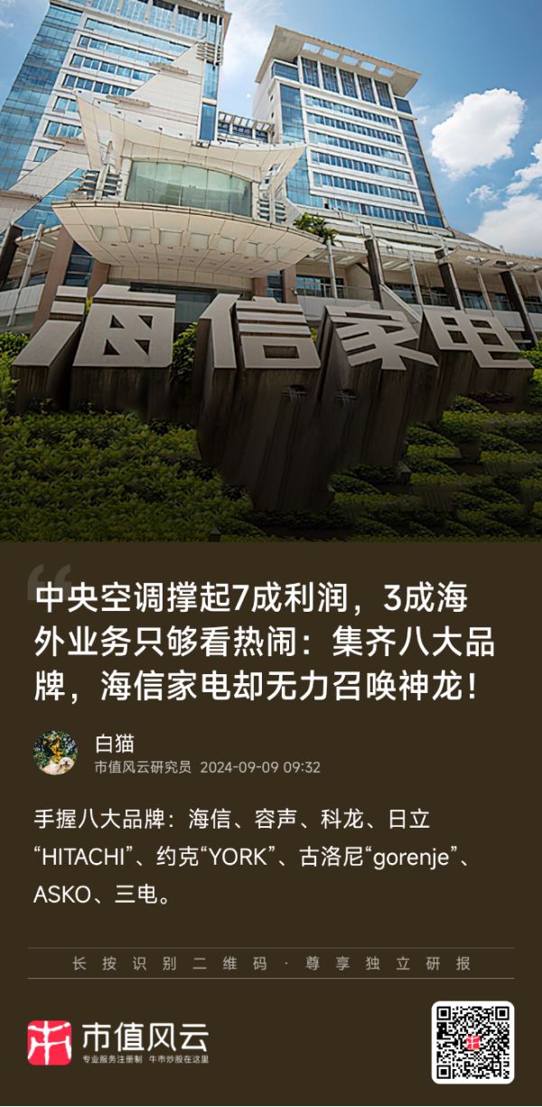 新春看消费之家电篇：只属于白电的狂欢(图48)